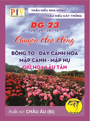 Phân bón hợp thức vi lượng chuyên hoa hồng